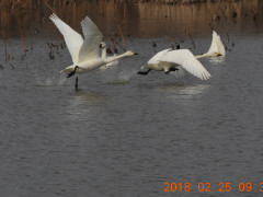 RSCN0109.JPG