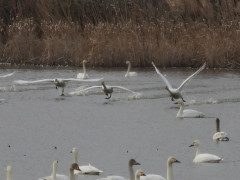 RSCN0111.JPG