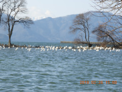 DSCN0127.JPG