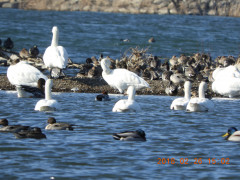 DSCN0133.JPG