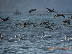 DSCN0164.JPG