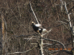 DSCN0116.JPG