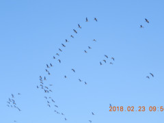 RSCN0113.JPG