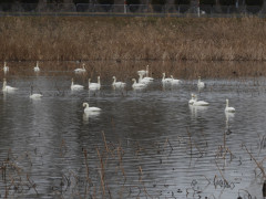 RSCN0115.JPG