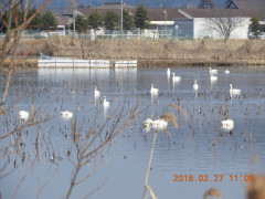 DSCN0191.JPG