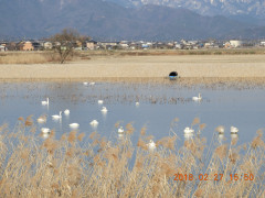 DSCN0200.JPG