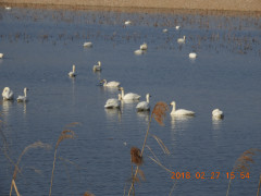 DSCN0210.JPG
