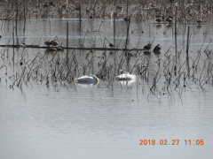 DSCN0190.JPG