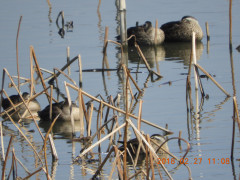 DSCN0196.JPG