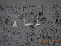 DSCN0225.JPG