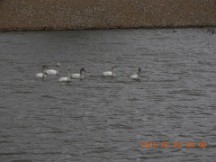 DSCN0227.JPG