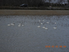 DSCN0229.JPG