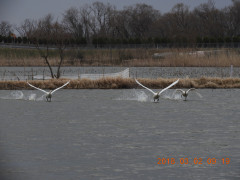 DSCN0264.JPG