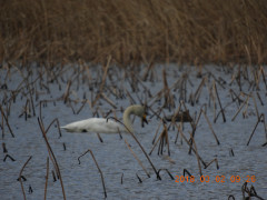 DSCN0278.JPG