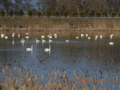 DSCN0292.JPG
