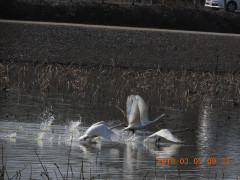 DSCN0312.JPG