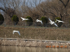 DSCN0322.JPG