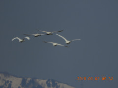 DSCN0325.JPG