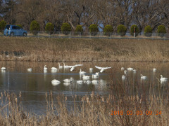 DSCN0327.JPG