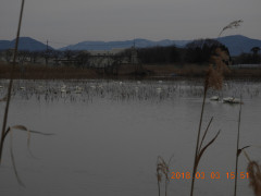 DSCN0333.JPG