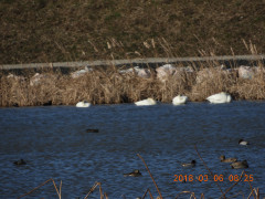 DSCN0357.JPG
