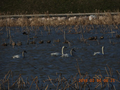 DSCN0356.JPG