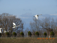 DSCN0375.JPG