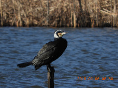 DSCN0392.JPG