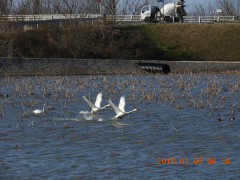 DSCN0359.JPG
