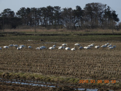 DSCN0386.JPG