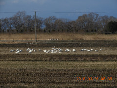 DSCN0388.JPG