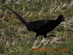 RSCN0415.JPG