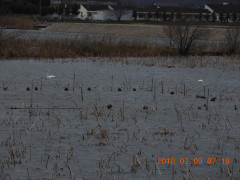 DSCN0422.JPG