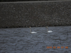 DSCN0419.JPG