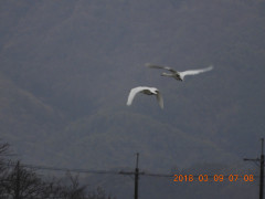 DSCN0421.JPG
