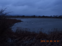 DSCN0424.JPG