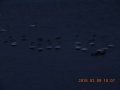 DSCN0427.JPG