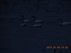 DSCN0431.JPG