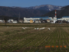 DSCN0451.JPG