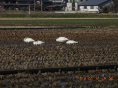 DSCN0449.JPG