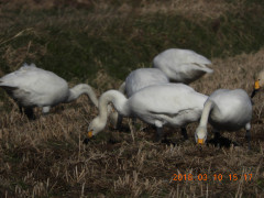DSCN0452.JPG