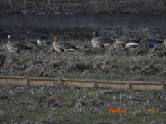 DSCN0455.JPG