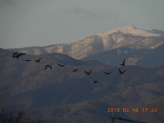 DSCN0463.JPG