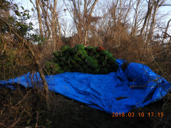 DSCN0459.JPG