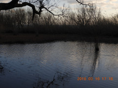 DSCN0461.JPG