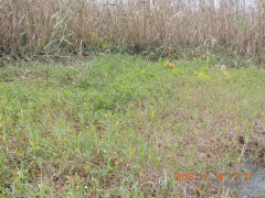 DSCN3871.JPG
