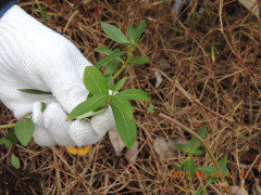 DSCN3853.JPG