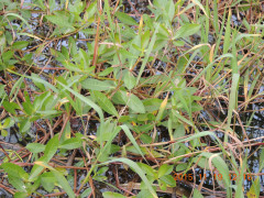 DSCN3862.JPG