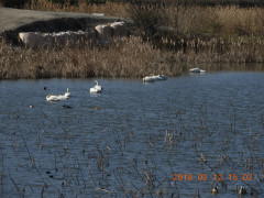 DSCN0464.JPG