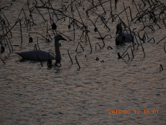 DSCN0507.JPG